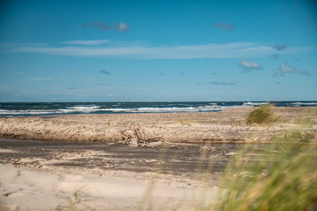 Serene Danish beach scene with sand dunes and the North Sea under a clear summer sky.